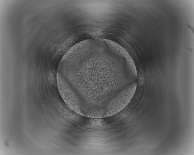 X0000099560618200806131235