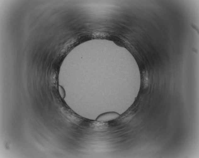 X0000099560619200806131235