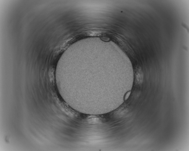 X0000099560620200806131235