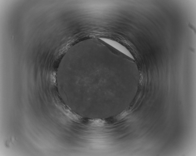 X0000099560621200806131235