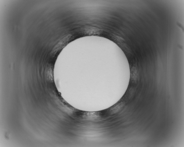 X0000099560622200806131235