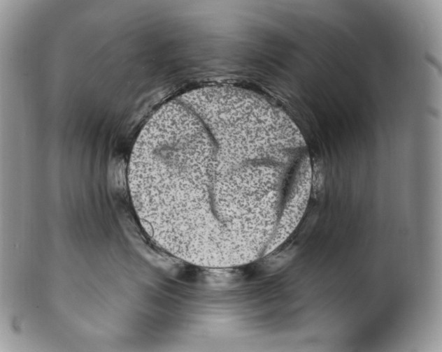 X0000099560623200806131235