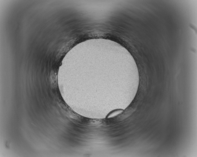 X0000099560624200806131235