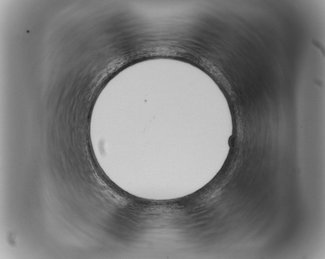 X0000099560625200806131234