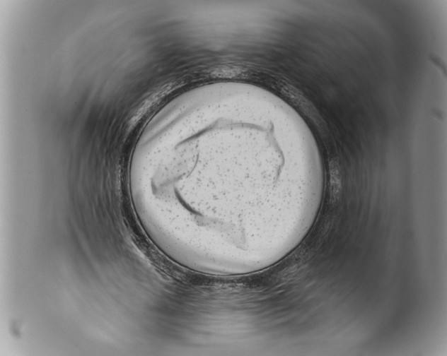 X0000099560626200806131235