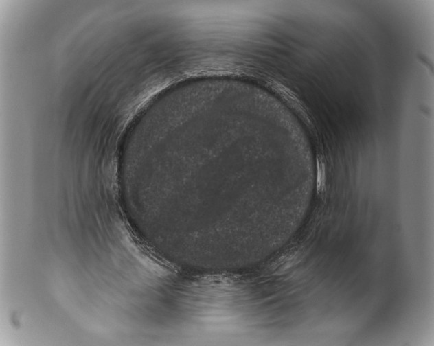 X0000099560627200806131235