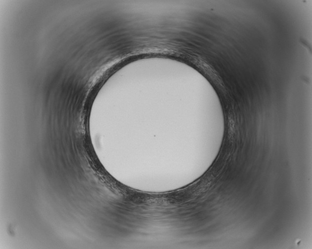 X0000099560628200806131235
