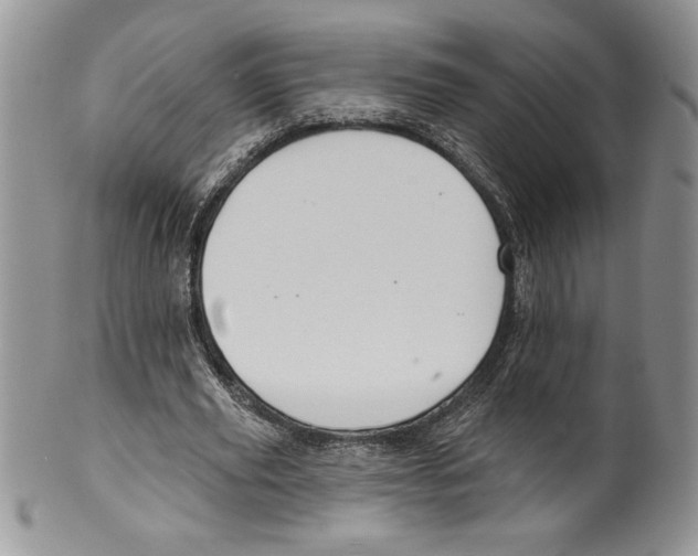 X0000099560629200806131235