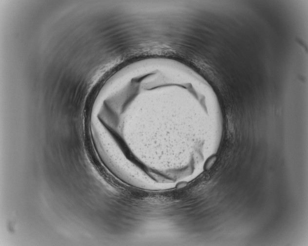 X0000099560630200806131235