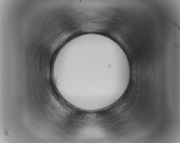 X0000099560631200806131235