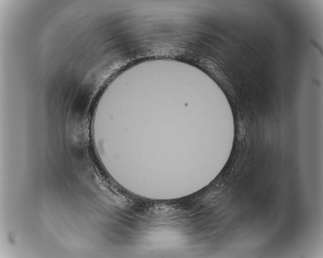 X0000099560632200806131235