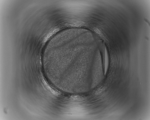 X0000099560634200806131235