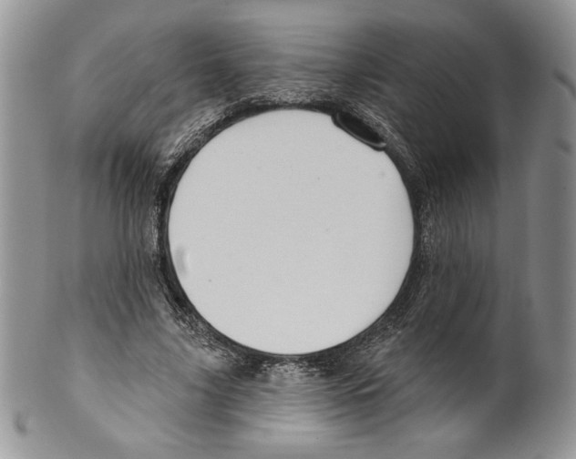 X0000099560635200806131235