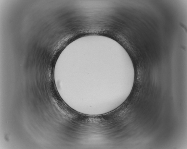 X0000099560636200806131235