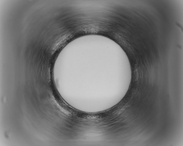 X0000099560638200806131235