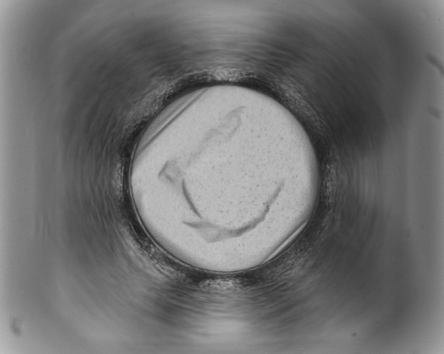 X0000099560639200806131235