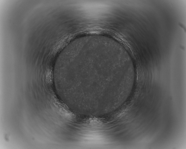 X0000099560641200806131235