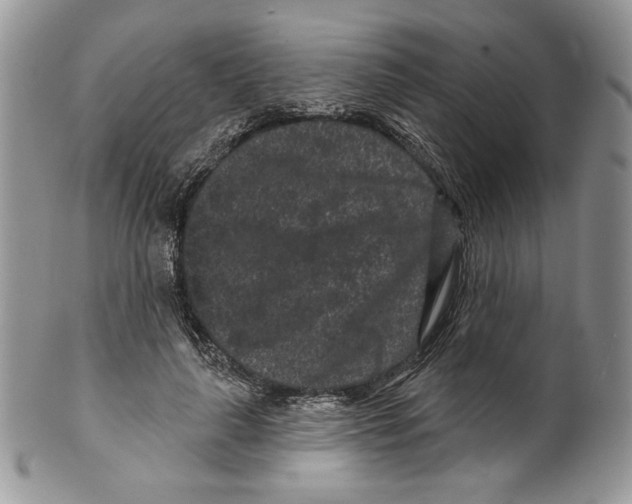 X0000099560643200806131235