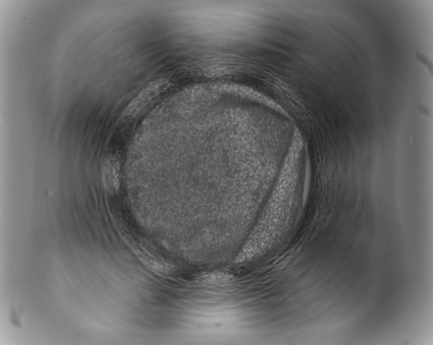 X0000099560644200806131235