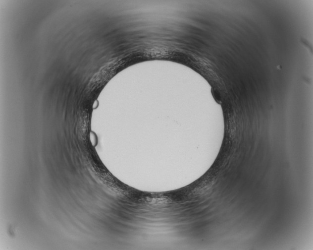 X0000099560645200806131235