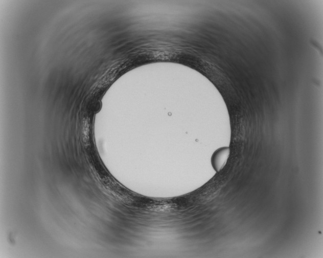 X0000099560646200806131235