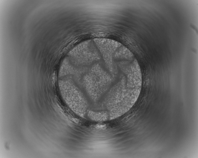 X0000099560647200806131235