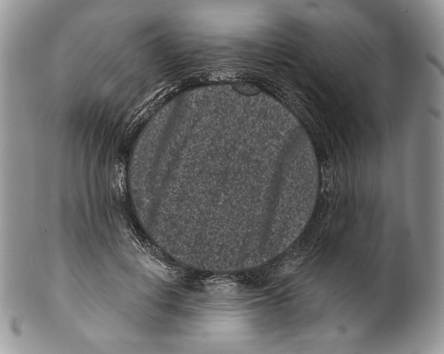 X0000099560648200806131235