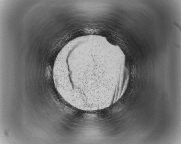 X0000099560649200806131235