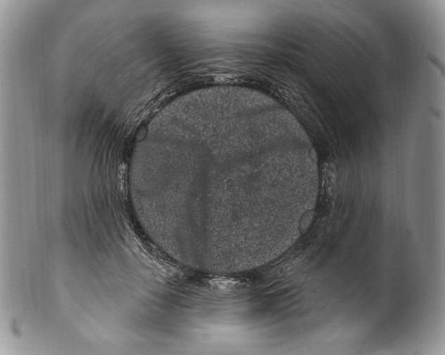 X0000099560650200806131235