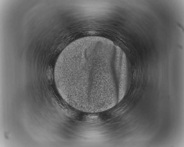 X0000099560651200806131235