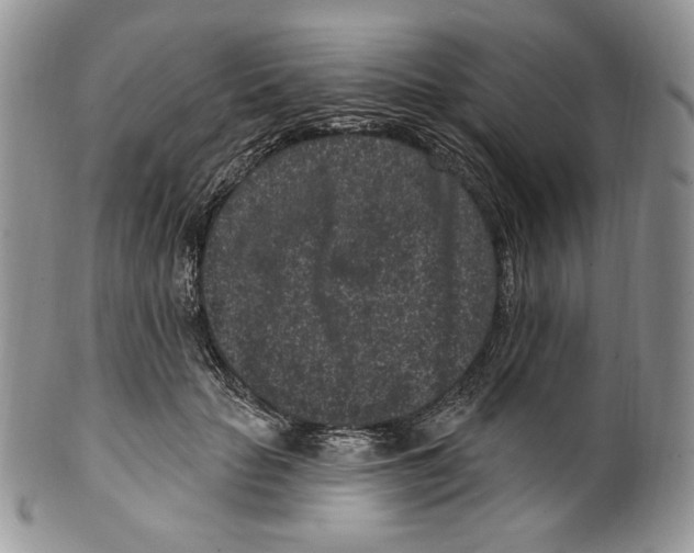 X0000099560653200806131235