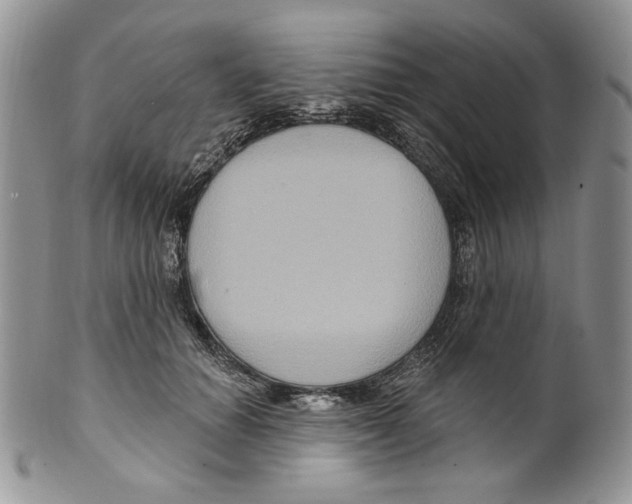 X0000099560654200806131235