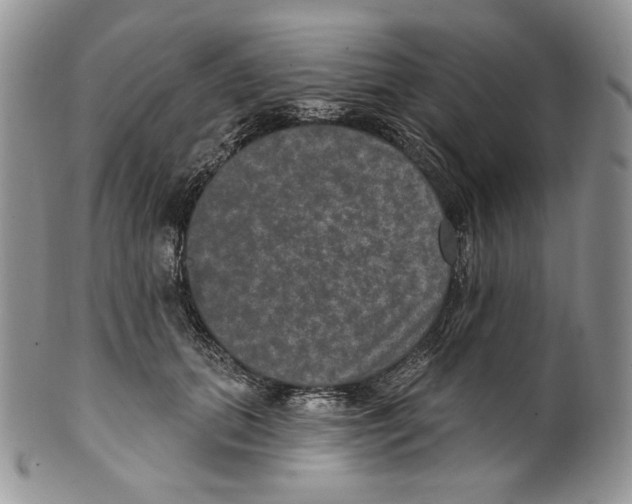 X0000099560655200806131235