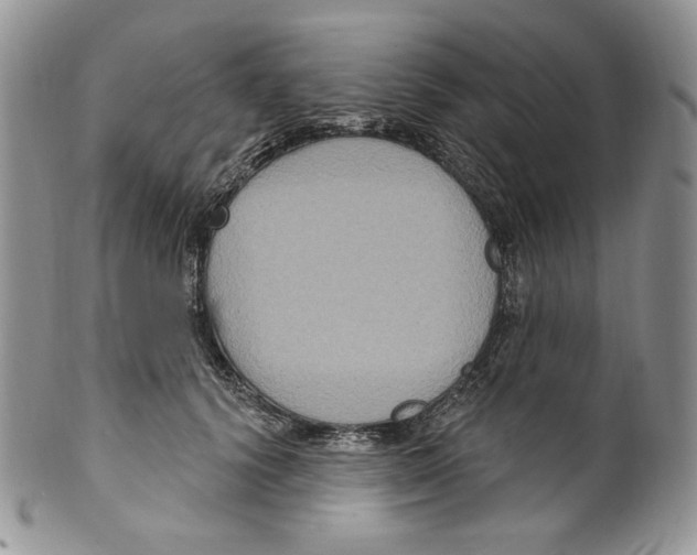 X0000099560656200806131235