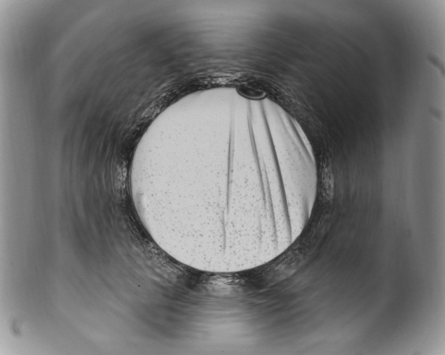 X0000099560657200806131235