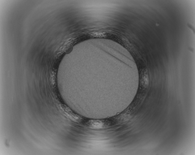 X0000099560658200806131235