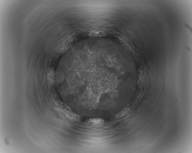 X0000099560659200806131235