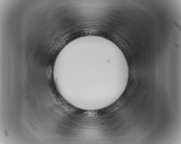 X0000099560660200806131235