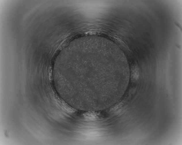 X0000099560661200806131235