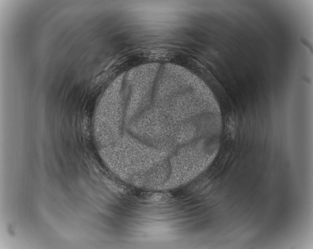 X0000099560663200806131235