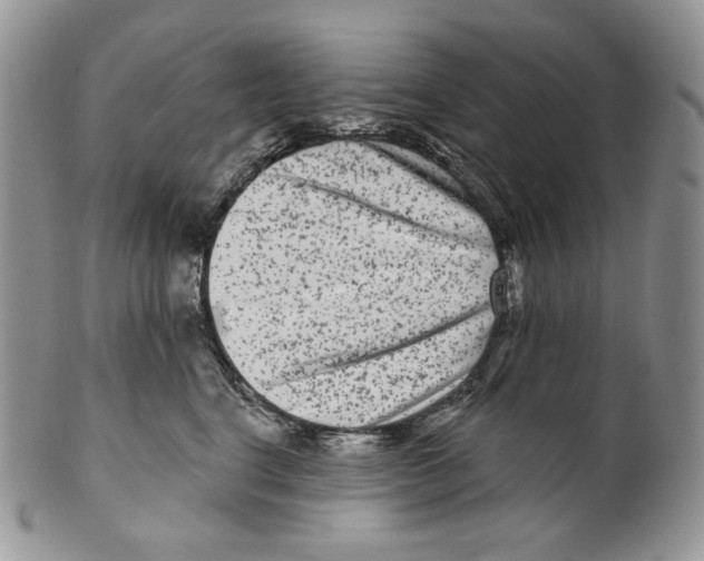 X0000099560664200806131235