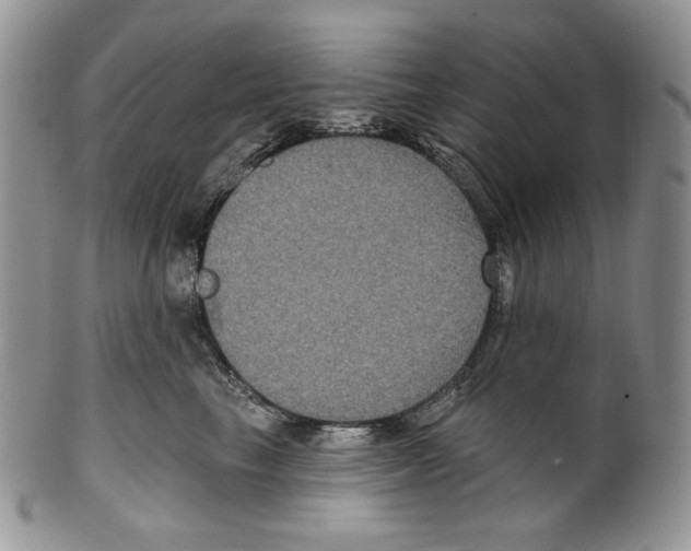 X0000099560665200806131235