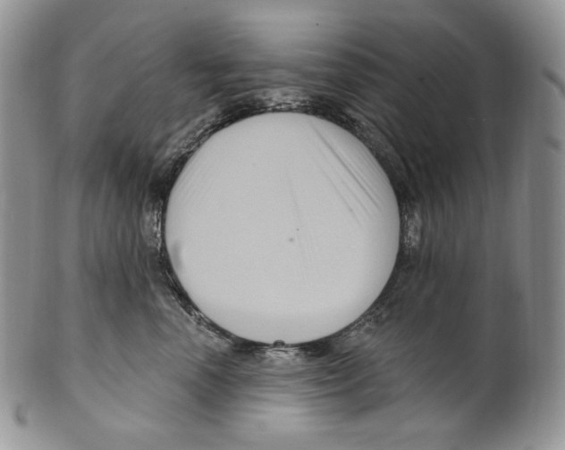 X0000099560666200806131235