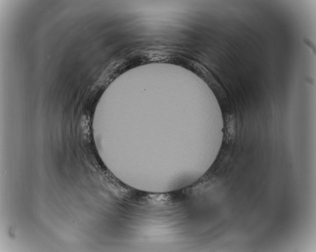 X0000099560667200806131235