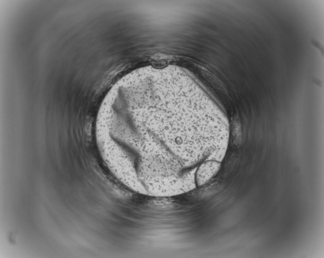 X0000099560668200806131235