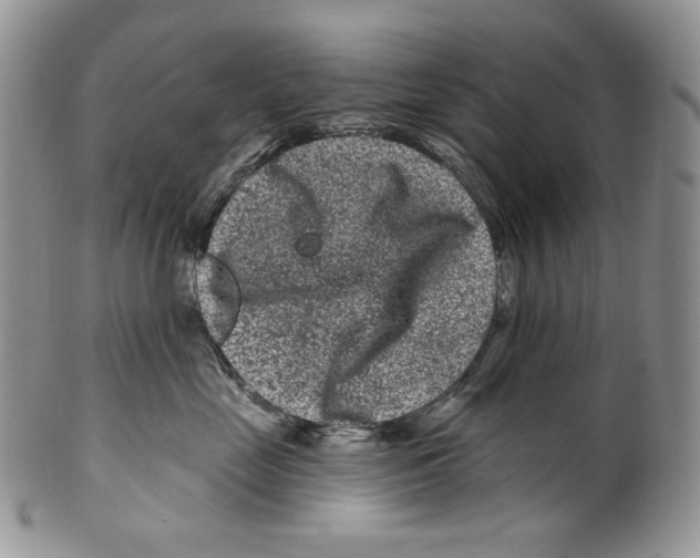 X0000099560669200806131235