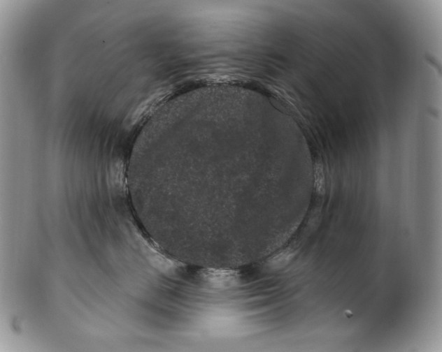 X0000099560670200806131235