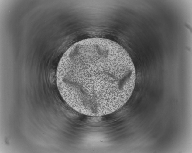 X0000099560671200806131235