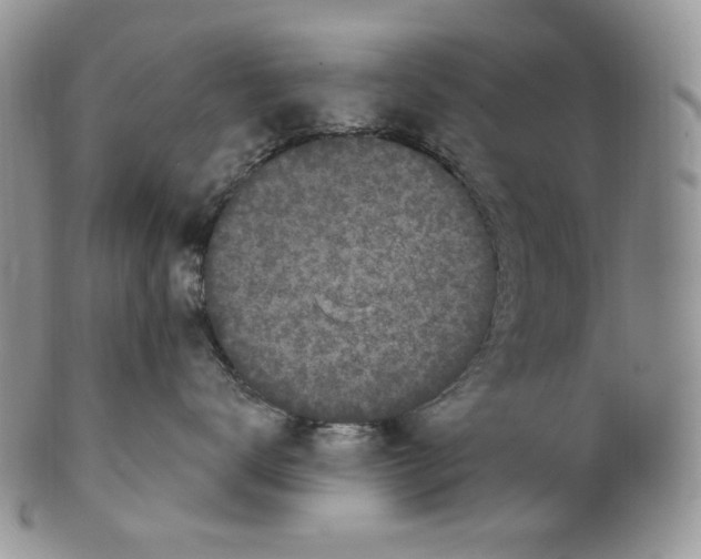 X0000099560672200806131235