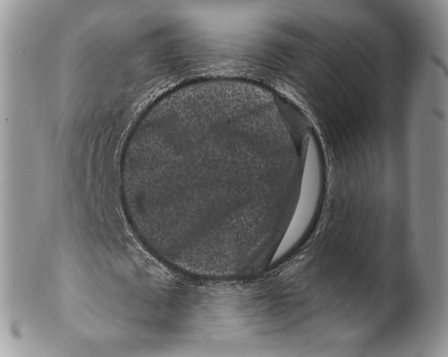 X0000099560673200806131234